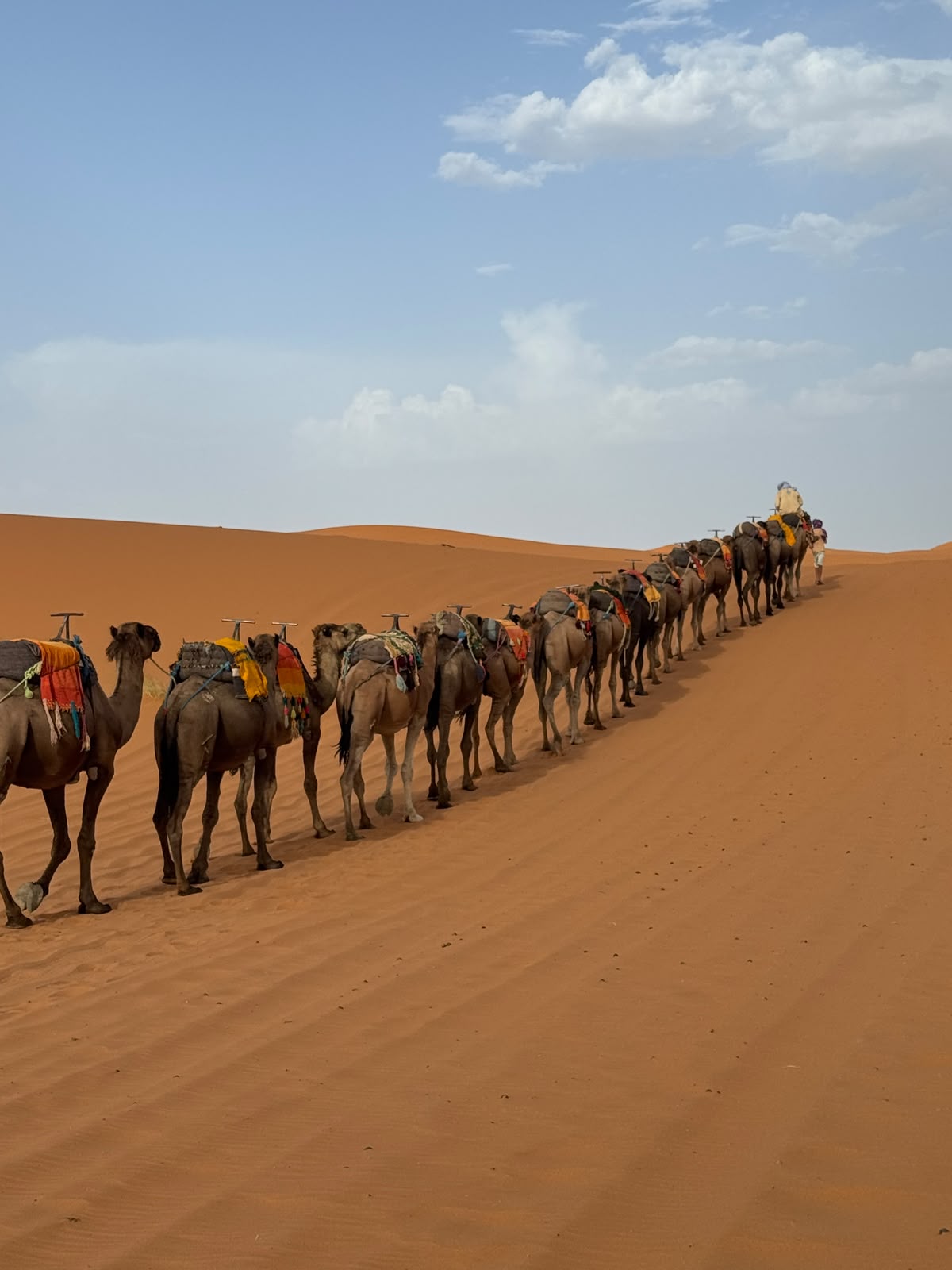 Sahara Desert