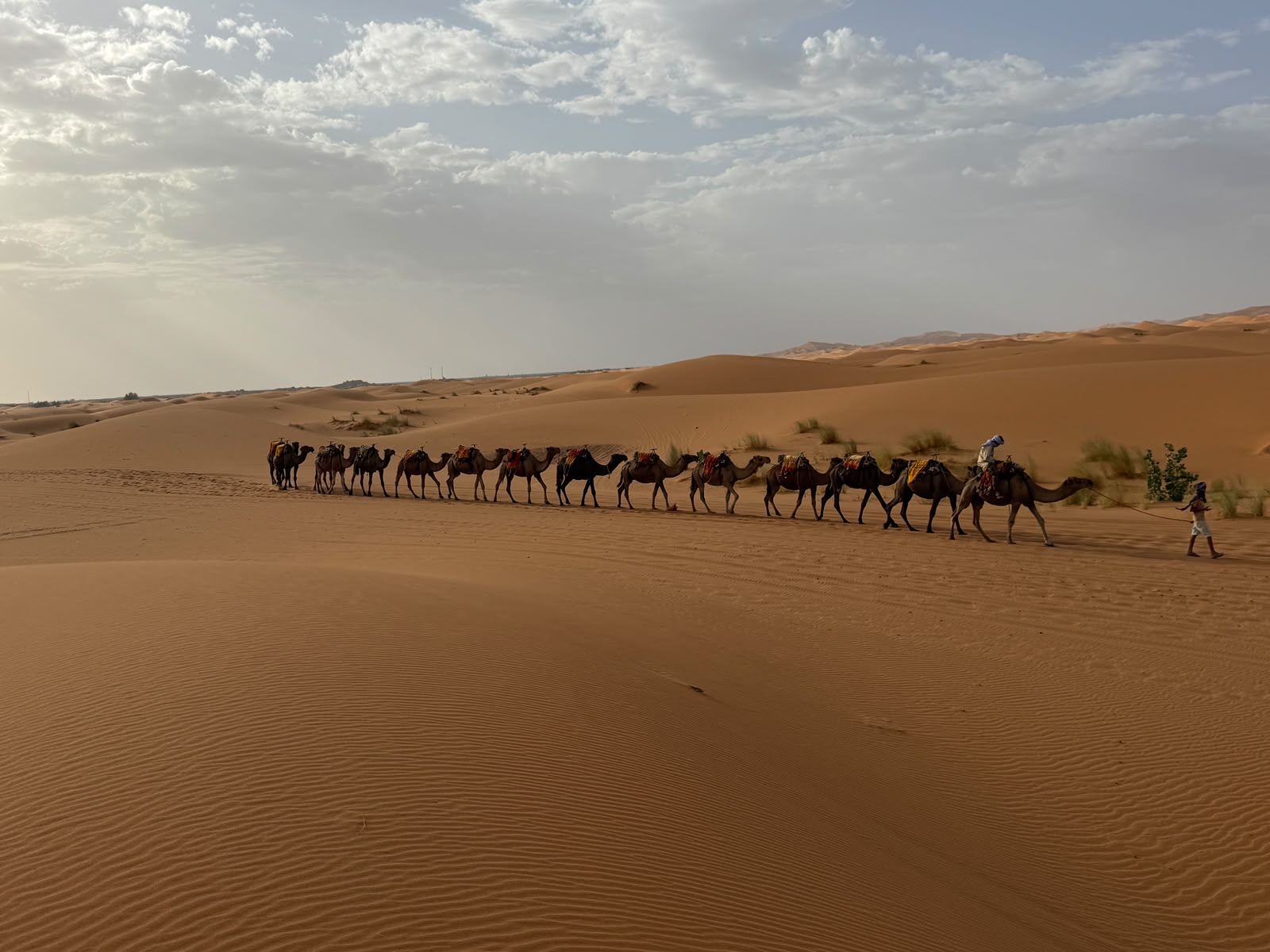 Morocco Panoramic View