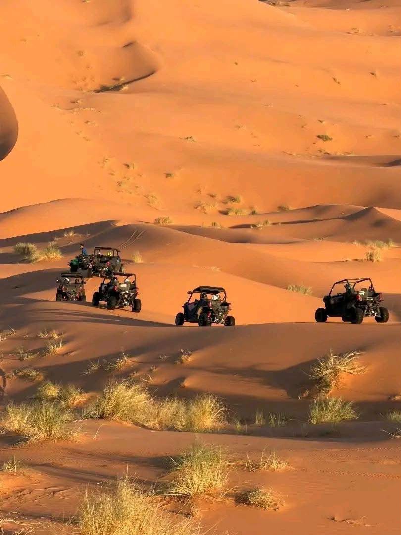 Desert Tour View 8